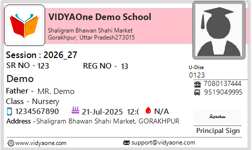 ID Card Format VIII
