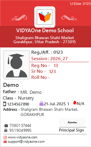 ID Card Format IX